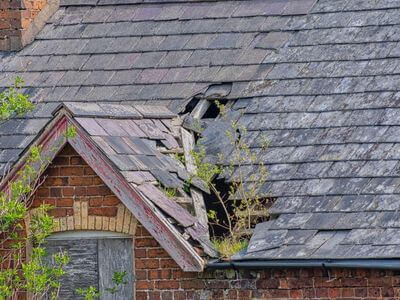 Professional storm damage restoration services in Newark - water damage restoration service